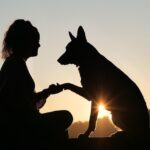 Lets be human together