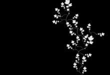 Black and white background