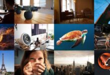 Free stock photo websites