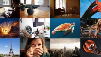 Free stock photo websites