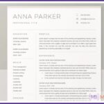 Best chronological resume templates