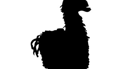 Best fortnite svg images