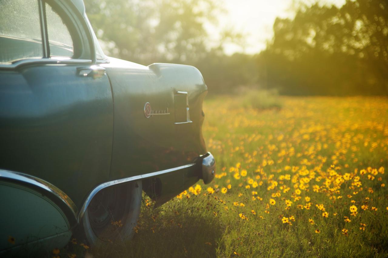 Quality photolemur improver Elevate your designs with authentic photos