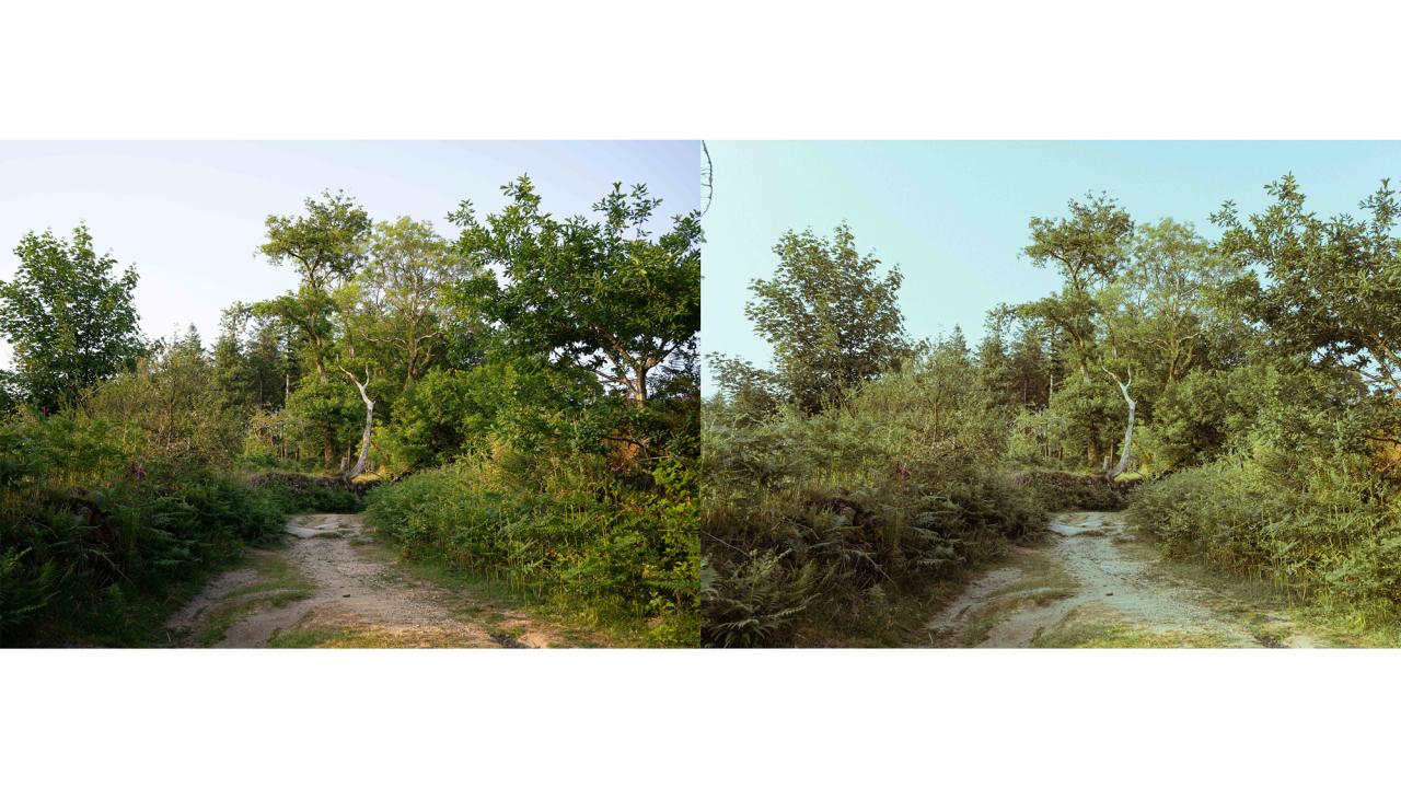 Turn your digital photograph into a film