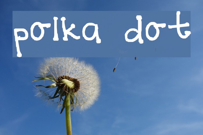 Best polka dots fonts
