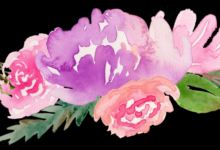 Best free and paid flower clipart