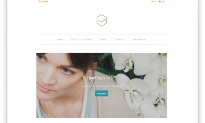 Best free shopify minimal themes