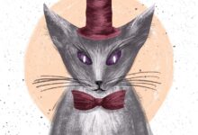 Masterbundles nastassia illustrator vendor technicians