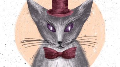 Masterbundles nastassia illustrator vendor technicians