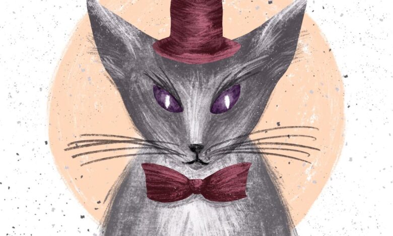 Masterbundles nastassia illustrator vendor technicians