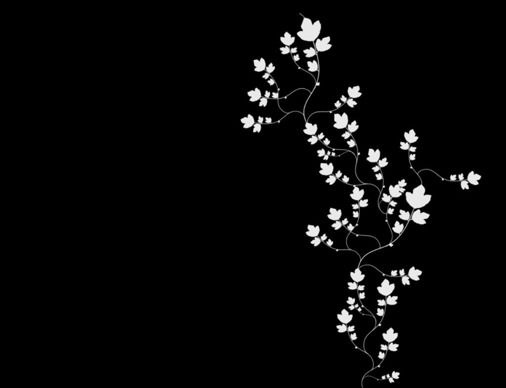 Abstract white black background backgrounds wallpapers wallpaper desktop hd cool amazing wallpapersafari waves backgroundsy file Black and white background