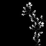 Black and white background