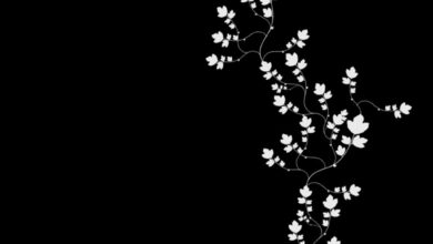 Black and white background