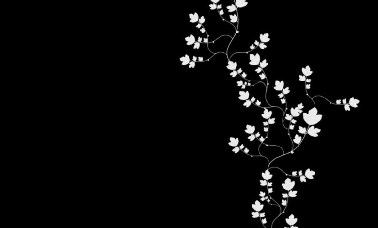 Black and white background