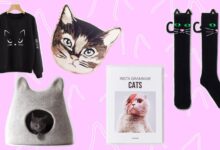 Gifts for cat lovers
