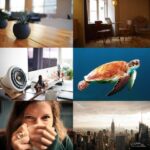 Free stock photo websites