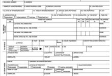 Best police report templates