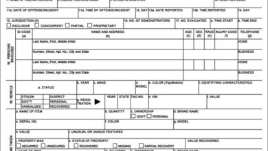 Best police report templates
