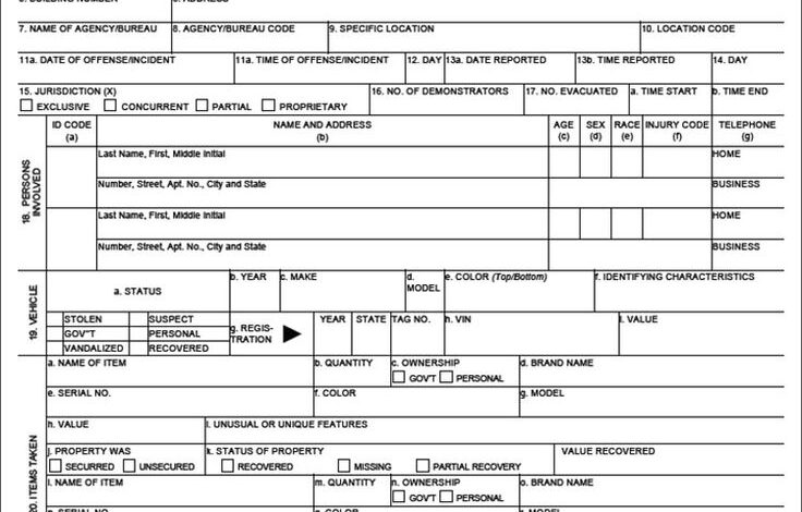 Best police report templates