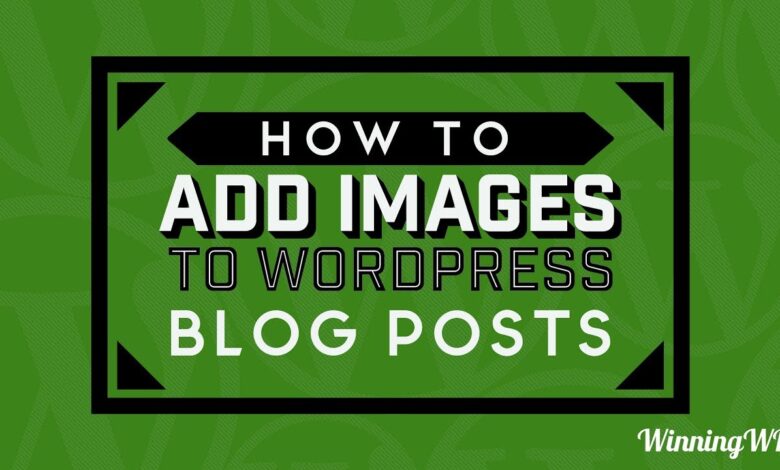 How to insert a picture into a wordpress post