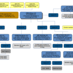 Llc or s corp choosing the right structure for designers