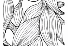 Black white patterns free premium