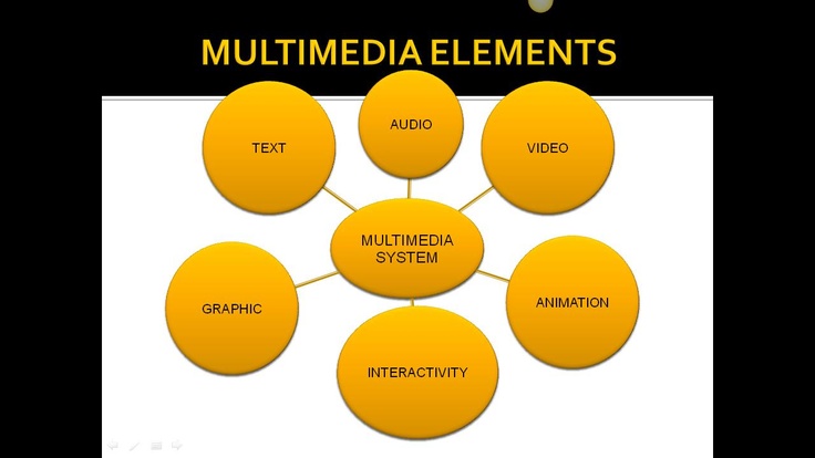What is multimedia designer