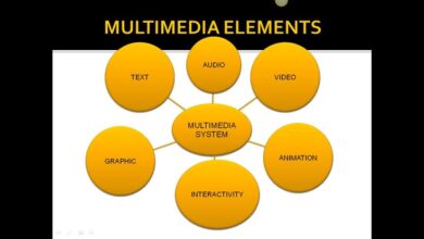What is multimedia designer