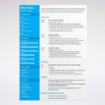 Professional graphic design resume examples