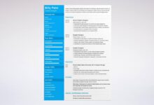 Professional graphic design resume examples