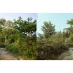 Turn your digital photograph into a film