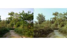 Turn your digital photograph into a film