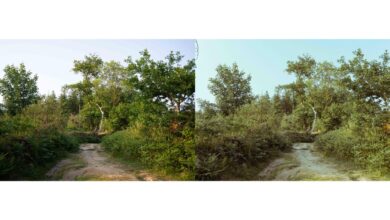 Turn your digital photograph into a film