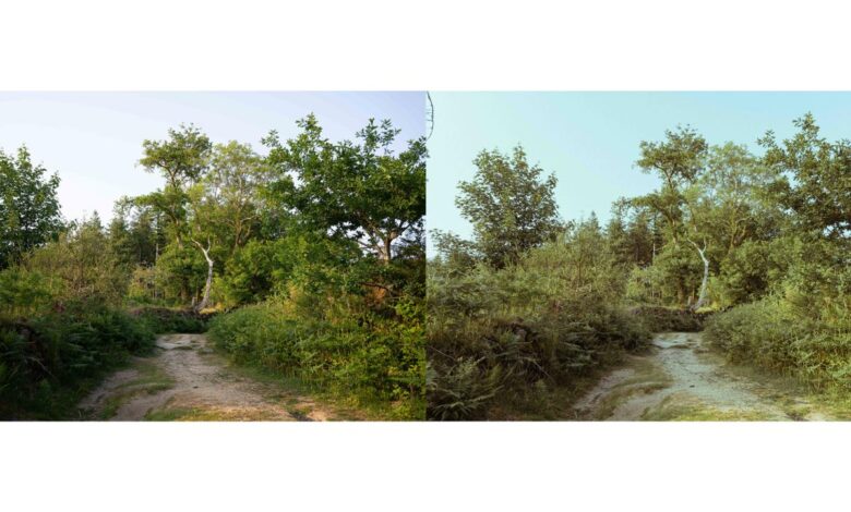 Turn your digital photograph into a film