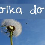Best polka dots fonts
