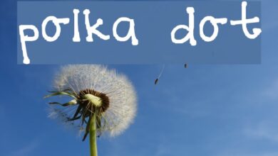 Best polka dots fonts