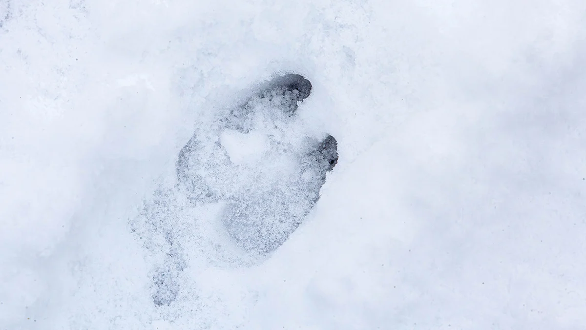 There’s No Digital Marketing Strategy Without an About Page