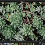 6 Best Photo Sharpening Software to Fix Blurry Images