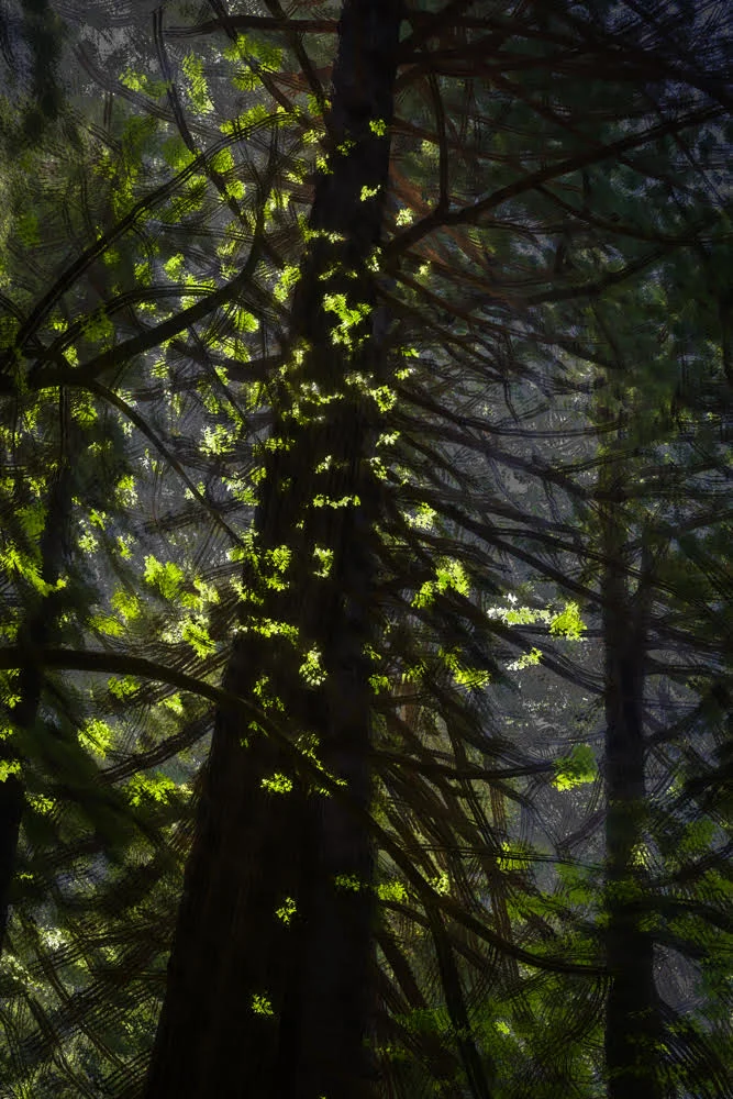 Capturing the Sacred: Photographer and Director Lev L. Spiro Explores the Celtic Concept of Thin Places Through the Lens