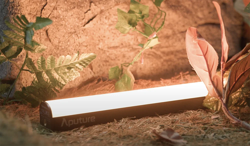From back lights to eye lights, here are some of the best handheld lights available that won’t break your budget.