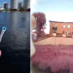 Photographer Puts the Dyson CameraJet Toothbrush to the Test for Street Photography