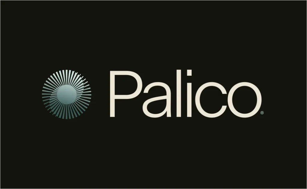Private Equity Specialist Palico Reveals New Logo