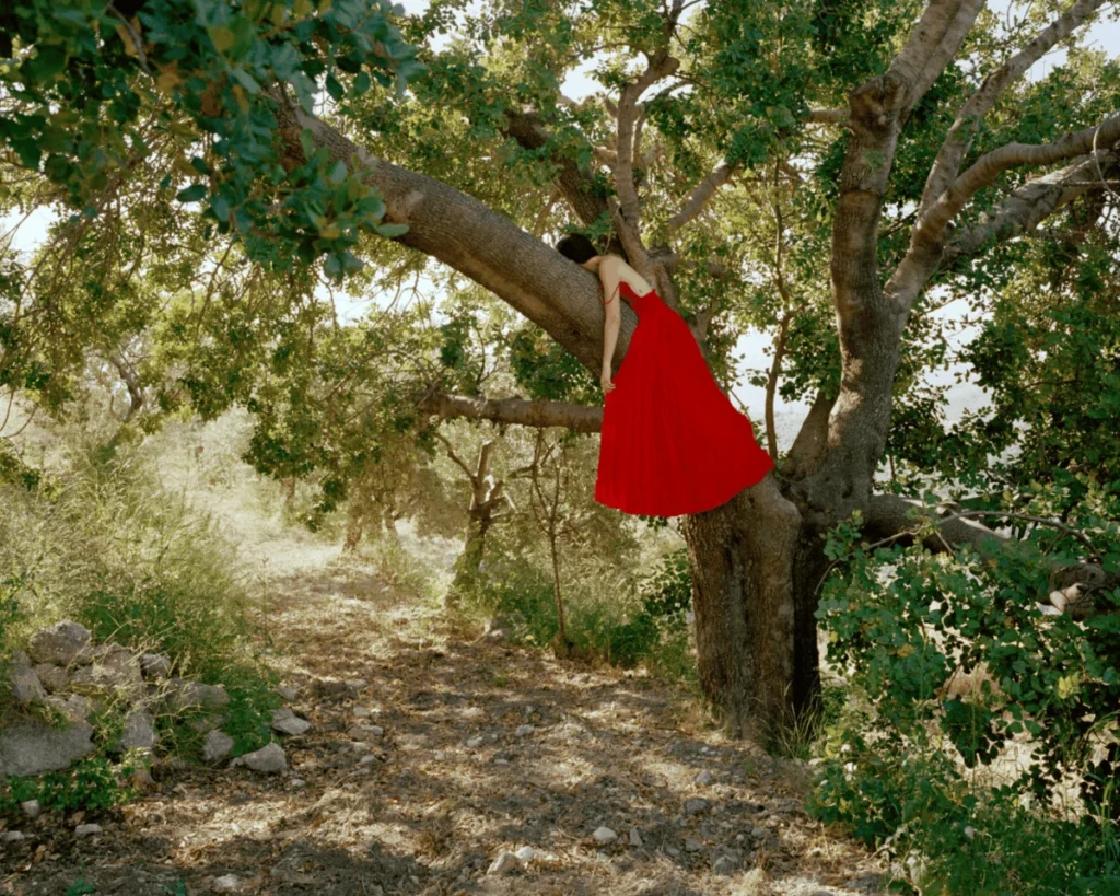 Rania Matar Captures the Resilience of Lebanese Youth in 50 Years Later – Where Do I Go? Exhibition