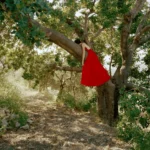 Rania Matar Captures the Resilience of Lebanese Youth in 50 Years Later – Where Do I Go? Exhibition