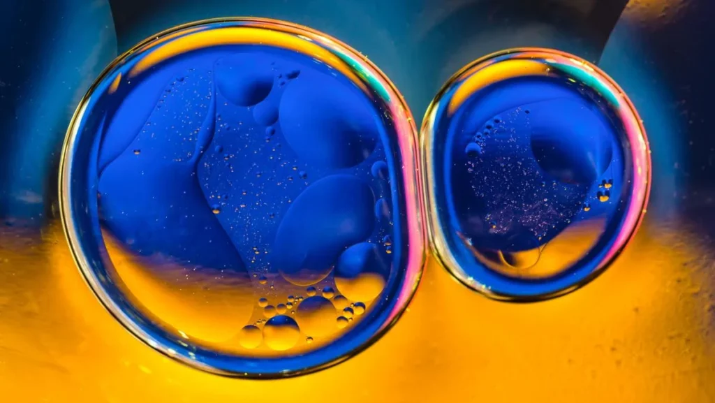 Why Brand Fundamentals Remain Indispensable Even in the Age of Artificial Intelligence